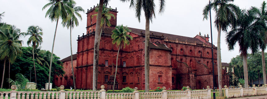 The Western Ghat Wonders