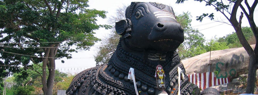 The Western Ghat Wonders