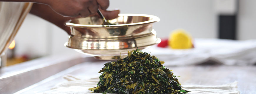 Kerala Ayurveda Retreat